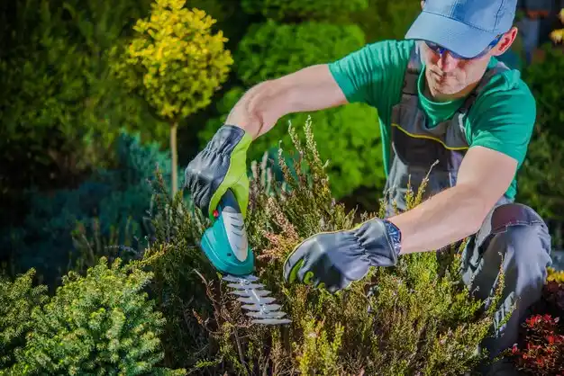 landscaping services Genoa